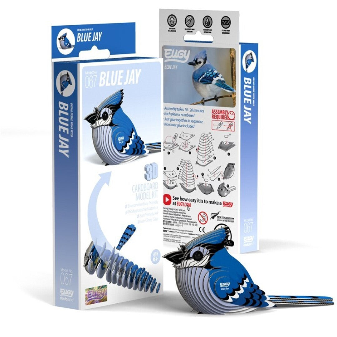 Eugy Blue Jay Nuevo