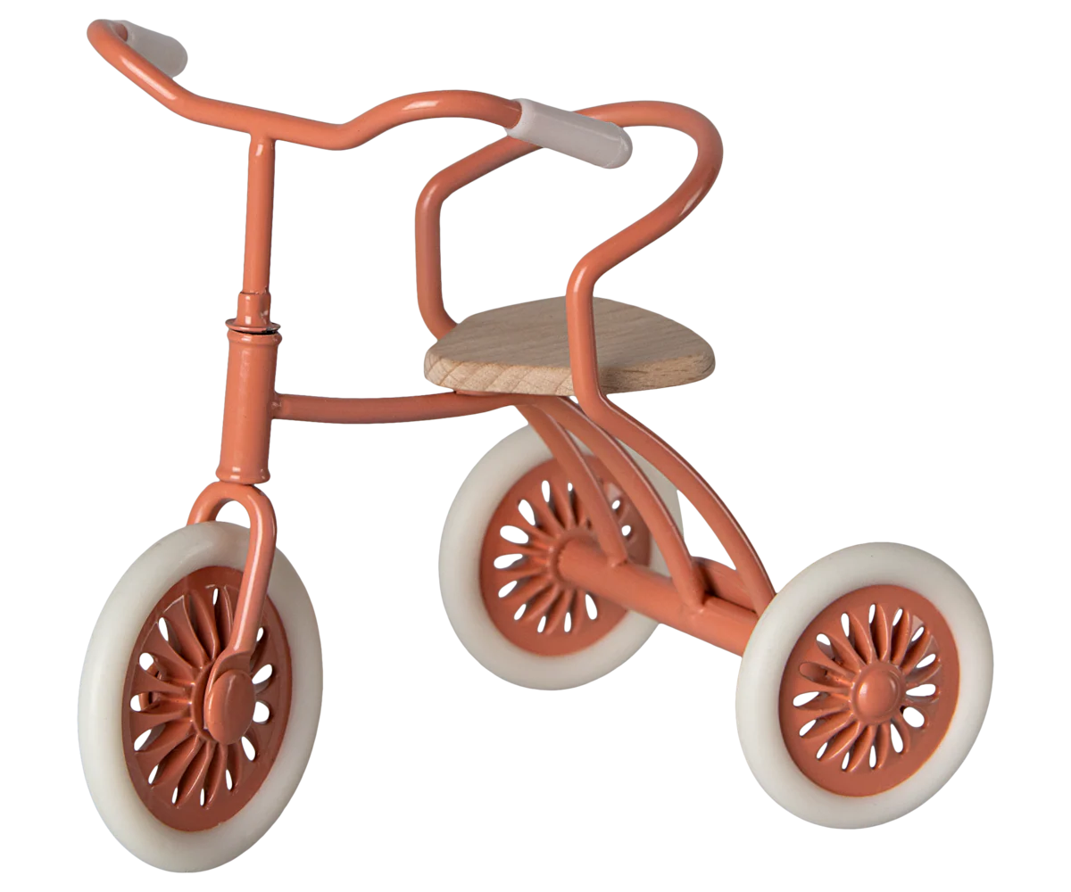 Abri à tricycle, Ratón - Coral
