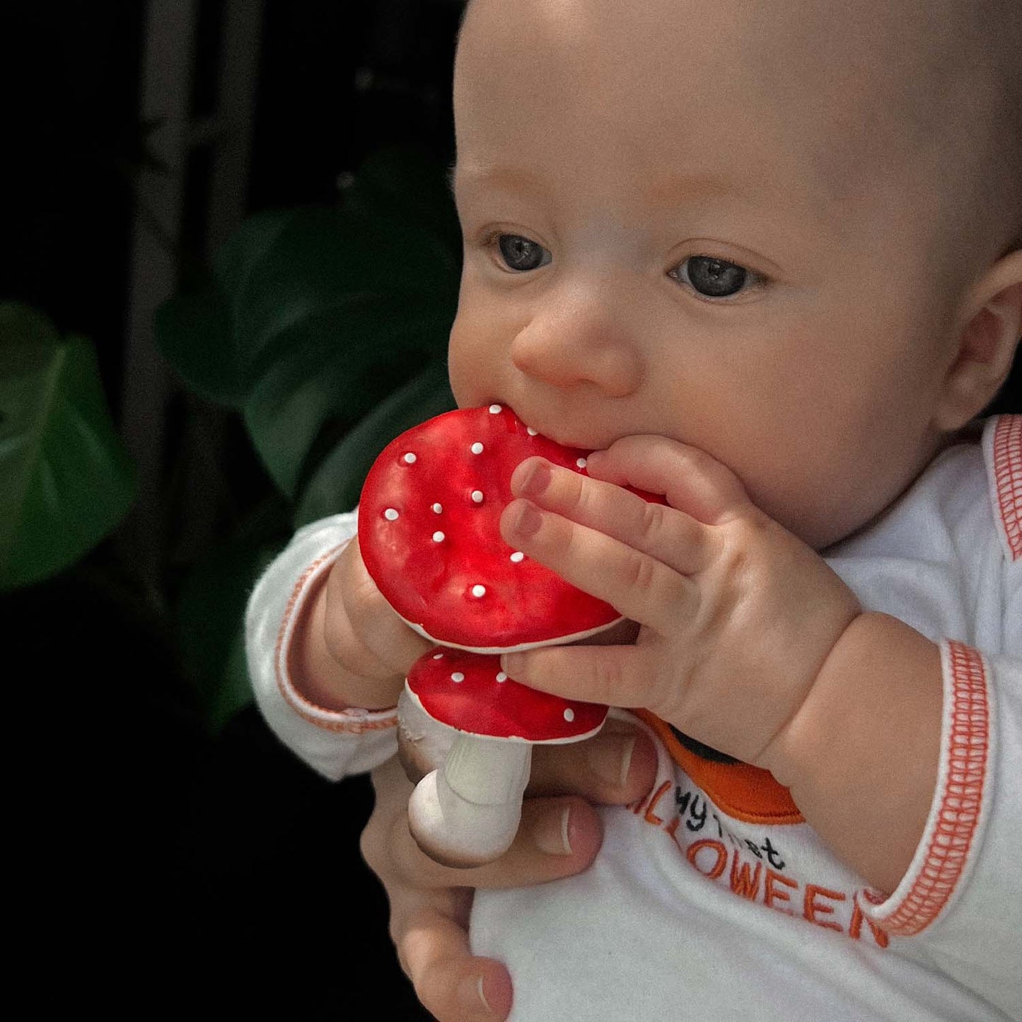 Spot the Mushroom Mordedor Bebé