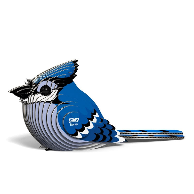 Eugy Blue Jay Nuevo