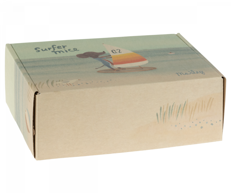 Playa-Ratones de playa, Hermano mayor surfista